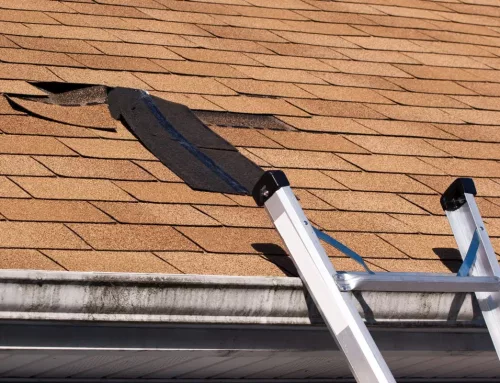 Ridges, Blisters, or Wrinkles In Your Asphalt Roof?